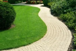 Gräs 5kg SOS Regenerativa Gräsfrön för Översådd 200m2 Egarden