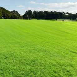 Gräs 5kg SOS Regenerativa Gräsfrön för Översådd 200m2 Egarden