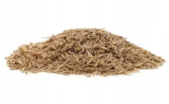 Gräs 5kg SOS Regenerativa Gräsfrön för Översådd 200m2 Egarden