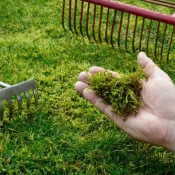 Gräsgödsel Järn Antimossa Trädgård Start 1kg