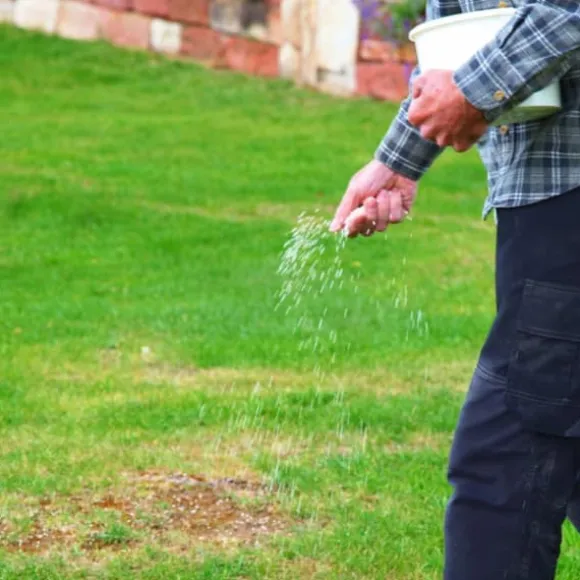 Gräsgödsel Järn Antimossa Trädgård Start 1kg