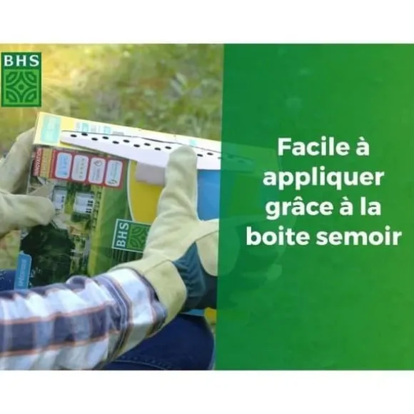 Gräsmatta - BHS - Gräsmatta vid havet 10kg | Motståndskraftig mot vind, torka, salthalt | Vacker sommargräsmatta, estetisk och robust.