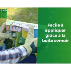 Gräsmatta - BHS - Gräsmatta vid havet 1kg | 40m² | Motståndskraftig mot vind, torka, salthalt | Vacker sommargräsmatta, estetisk och robust.