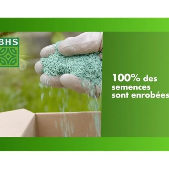 Gräsmatta - BHS - Seaside Lawn 10 kg | Resistent mot vind, torka och salt | Vacker, attraktiv och robust sommargräsmatta.