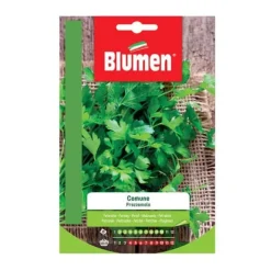 HALV GRÖNAR COMMON BLUMEN FRÖ TRÄDGÅRD