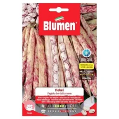 HALV KVINNA BÖNOR NOBEL BLUMEN FRÖ VÄXTHUS