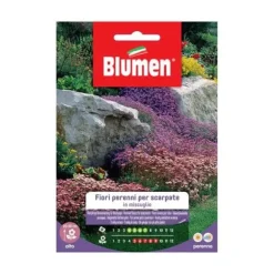 HALV PERENNA BLOMMOR FÖR SKRÄPPLATSER I MIX BLUMEN