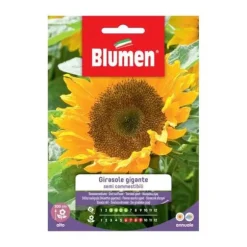 HALV SOLSÄDESFRÖN ÄTBARA BLUMEN