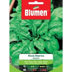 HALV SPINACH RICCI OCH AMERIKA BLOMMOR FRÖ TRÄDGÅRD