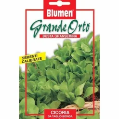 HALVMARIGOLDSKORT MED ZUCCHERINA BIONDA BLUMEN TRÄDGÅRDSSÅDD