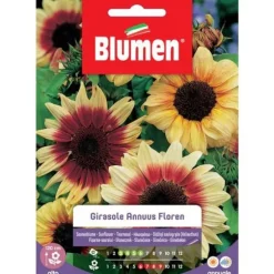 HALVMÅNAN ANNUS FLOREN BLOMMA