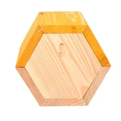 Hexagonal biodla - L 14,6 x l 14,8 x H 12,8 cm