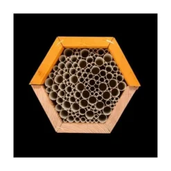 Hexagonal biodla - L 14,6 x l 14,8 x H 12,8 cm