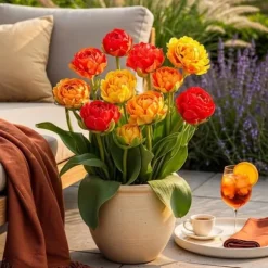 Hjärta av exotism blomsterlökar - Tulpaner Tulipa Gudoshnik Dubbelblommor (12 stycken) diameter 11-12 cm