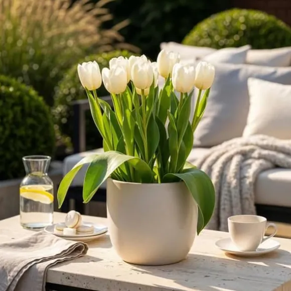 Hjärta av exotism blomsterlökar - Tulpaner Tulipa Triumph White - vit (15 stycken) diameter 11-12cm