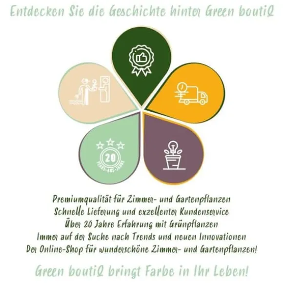 Hjärta av exotism blomsterlökar - Tulpaner Tulipa Triumph Mix (15 stycken) diameter 11-12cm