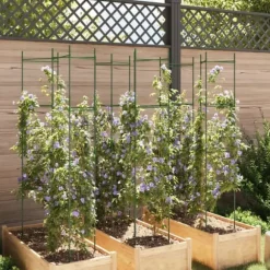 Hållbar tomatbur av stål - Justerbart stöd för växter | Färg: Grön | Storlek: 154 cm | 6 st