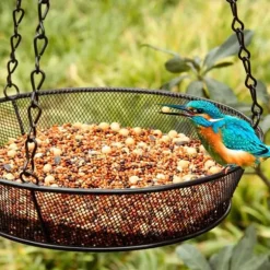 Hängande Fågelmatare Rund Bricka Metallnät Plattform Frömatare för Utomhusträdgårdsdekoration