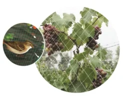 HOME It® fuglenet 15×15 mm x 2×10 meter