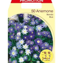 HÖSTBULBERR ANEMONE BLANDA MIXAD FÖRPACKNING MED 50 BULBER BULBS BULBES