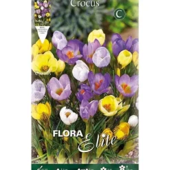 HÖSTBULBIR KROKUSARTER BLANDNING FÖRPACKNING MED 15 BULBIR
