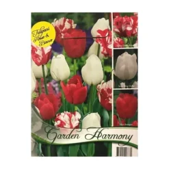 HÖSTBULBSSAMLING 15 BULBERS AV RÖDA OCH VITA TULPANER FÖR RABATTER OCH KÄRLAR