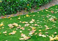 Höstgödsel för gräsmattor Emerald Complex 8 kg