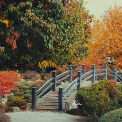 Höstgödsel för syraälskande växter GardenStart 5kg