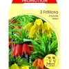 HÖSTLÖKAR FRITILLARIA IMPERIALIS MIX FÖRPACKNING MED 3 LÖKAR