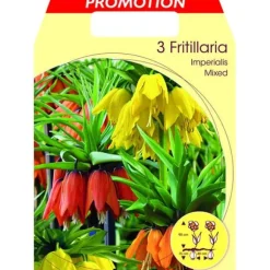 HÖSTLÖKAR FRITILLARIA IMPERIALIS MIX FÖRPACKNING MED 3 LÖKAR
