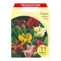 HÖSTTULPANER VIRIDIFLORA MIX AV FÄRGER FÖRPACKNING MED 20 LÖKAR LÖKAR LÖKAR