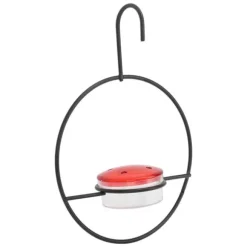 Hummingbird Feeder Vacker lätt hängande fågelmatare med 4 portar för utomhusbakgård