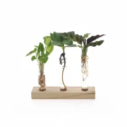 Hydroponiskt Odlingkit i Brevlådeformat Ø7 cm × 10 cm