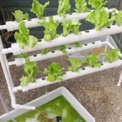 Hydroponiskt odlingskit - System med 36 hål - Två lager - Håldiameter 32 mm - Pump 220V/50Hz - För balkong - Vattentank ingår ej - Ljusgrå