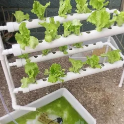 Hydroponiskt odlingskit - Såbrätte med lock - Dubbla Lager - Med 36 Hål - För Balkong & Inomhus - Plast - Vit