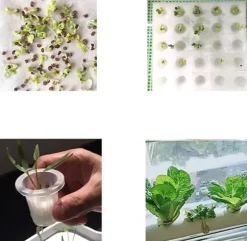 Hydroponiskt odlingssystem - Inomhus odlingskit - 36 odlingsplatser - 2 nivåer - För örter och grönsaker - Vit