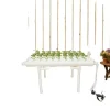 Hydroponiskt växtsystem, 36 växtplatser, vertikalt trädgårdskit,VIT