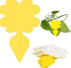 INF Klibbig fälla för skadeinsekter på krukväxter Flugfångare 12-pack