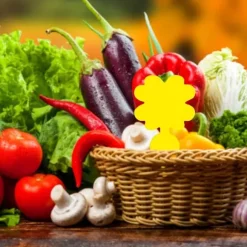 INF Klibbig fälla för skadeinsekter på krukväxter Flugfångare 12-pack