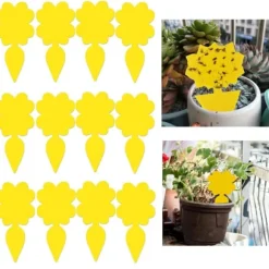 INF Klibbig fälla för skadeinsekter på krukväxter Flugfångare 12-pack