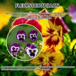 INN Butterfly Flower Seeds 398 Blomsterfrön Blomningstid 6-8 månader Blomfrön Prydnadsblommor Blomfrö