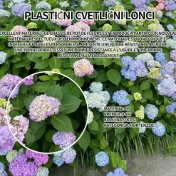 INN Hortensior 3st 9cm Lövfällande buske Perenn växt Hortensia Trädgård Hemmakontor Trädgårdsdekoration Bonsaiväxter