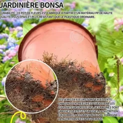 INN Hortensior 3st 9cm Lövfällande buske Perenn växt Hortensia Trädgård Hemmakontor Trädgårdsdekoration Bonsaiväxter