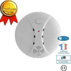 INN Hårutlätningsborste 2-i-1 våt och torr användning Tre nivåer Temperaturjustering Hårlätande kam Silver