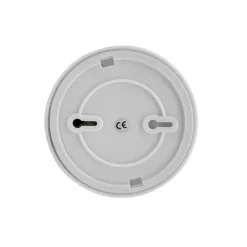 INN Hårutlätningsborste 2-i-1 våt och torr användning Tre nivåer Temperaturjustering Hårlätande kam Silver