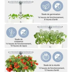 INN Hydroponisk 12 celler med LED-växtlampa justerbar höjd support Groddset med tyst intelligent pump
