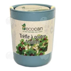 INN Rosemary frön kreativa frö lådor mini krukväxter burk frön kontor boxed plantor prydnadsväxter sem