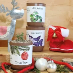 INN Rosemary frön kreativa frö lådor mini krukväxter burk frön kontor boxed plantor prydnadsväxter sem