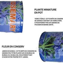 INN Rosemary Seeds Kreativa frölådor Minikrukväxter Burkfrön 9x6,5 cm Bordsförpackade fröplantor Ornament