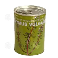 INN Seeds Timjan Frölådor Creative Mini krukväxter Burk frön 9x6,5 cm Bur Boxed Plant Plant Kit